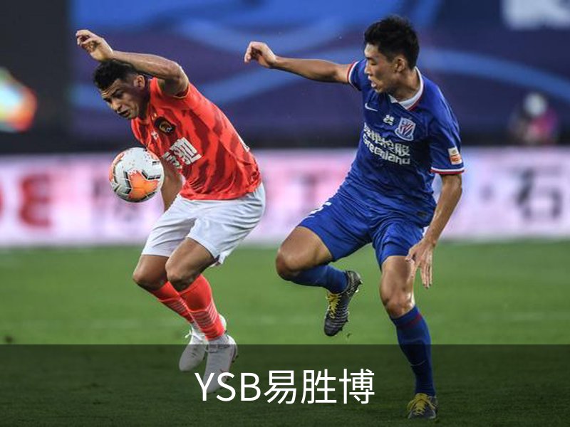 YSB易胜博概况
